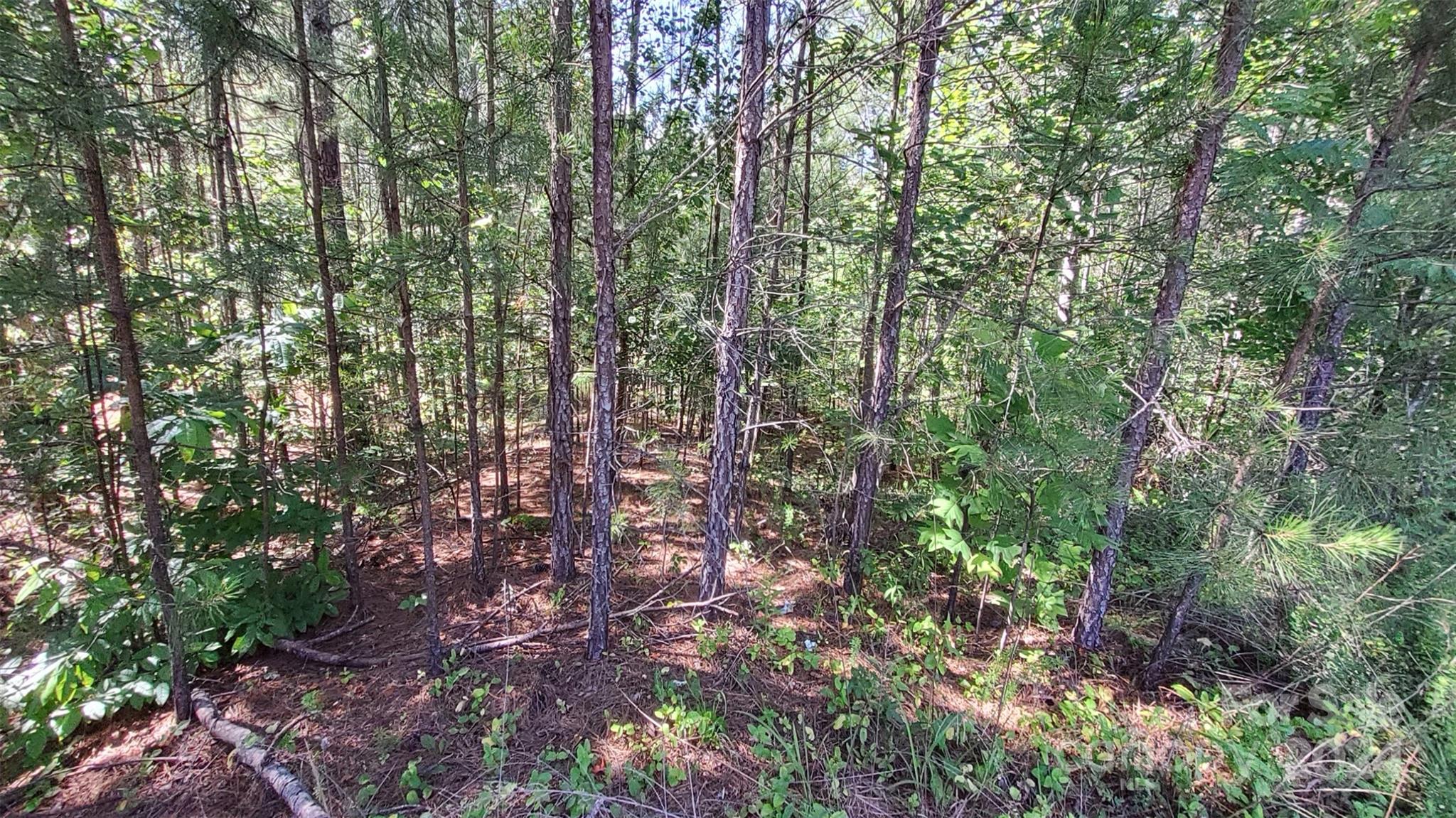 0 Ashley Court Mill Spring NC 28756