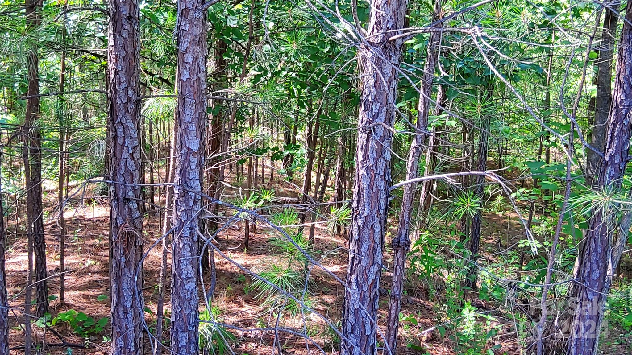 0 Ashley Court Mill Spring NC 28756