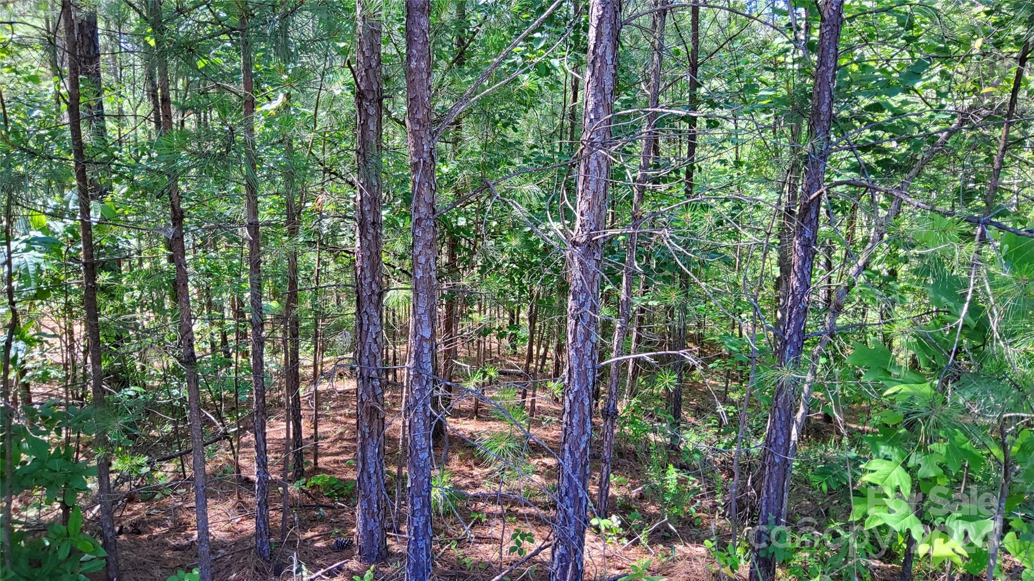 0 Ashley Court Mill Spring NC 28756