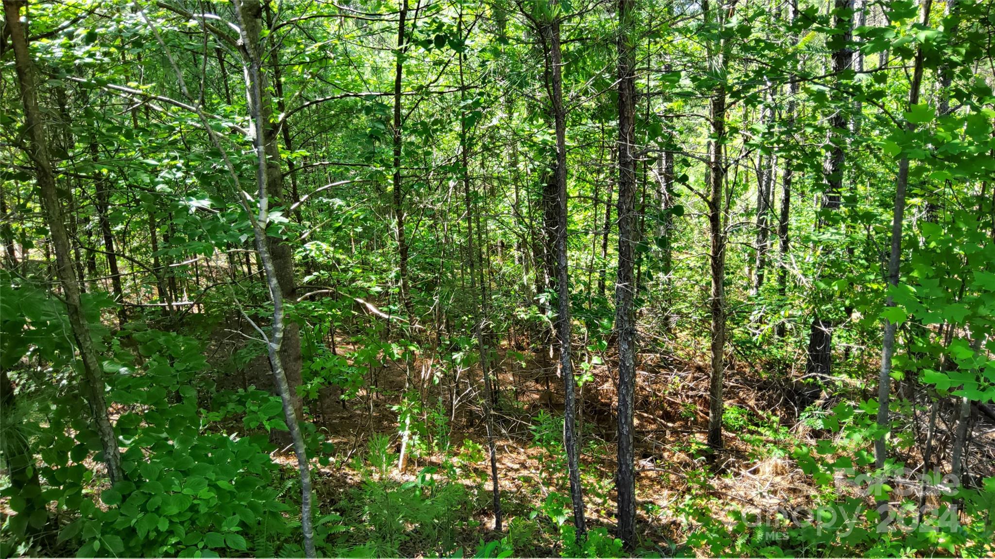 0 Ashley Court Mill Spring NC 28756