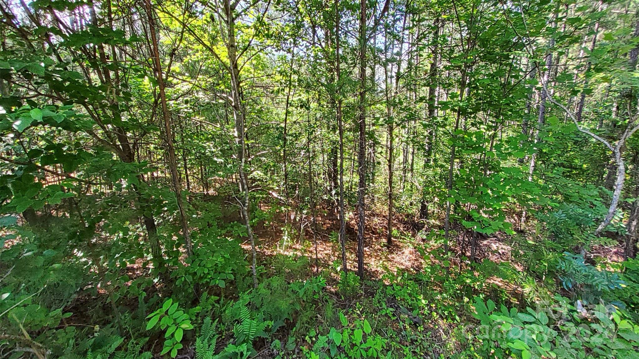 0 Ashley Court Mill Spring NC 28756