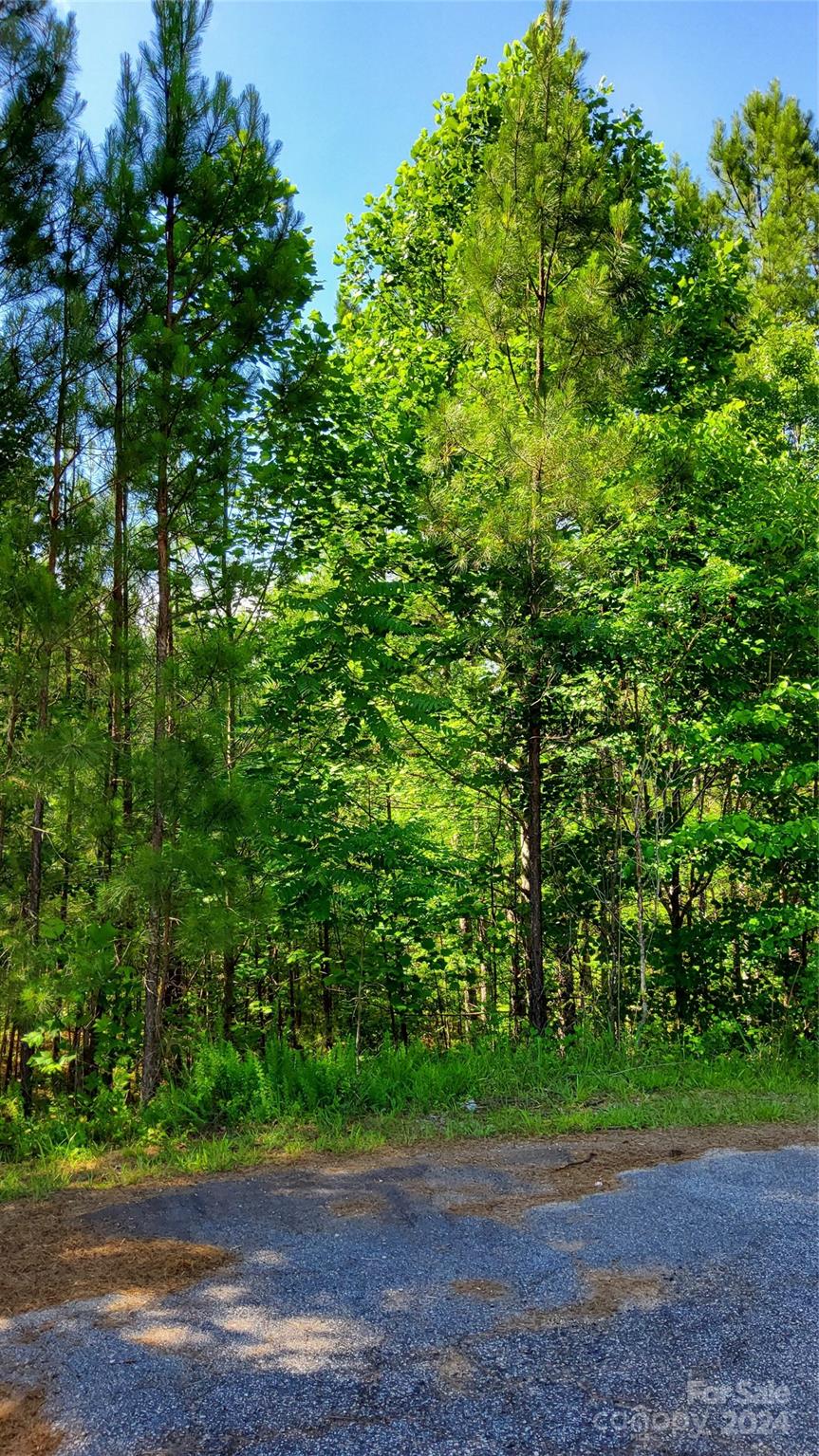 0 Ashley Court Mill Spring NC 28756