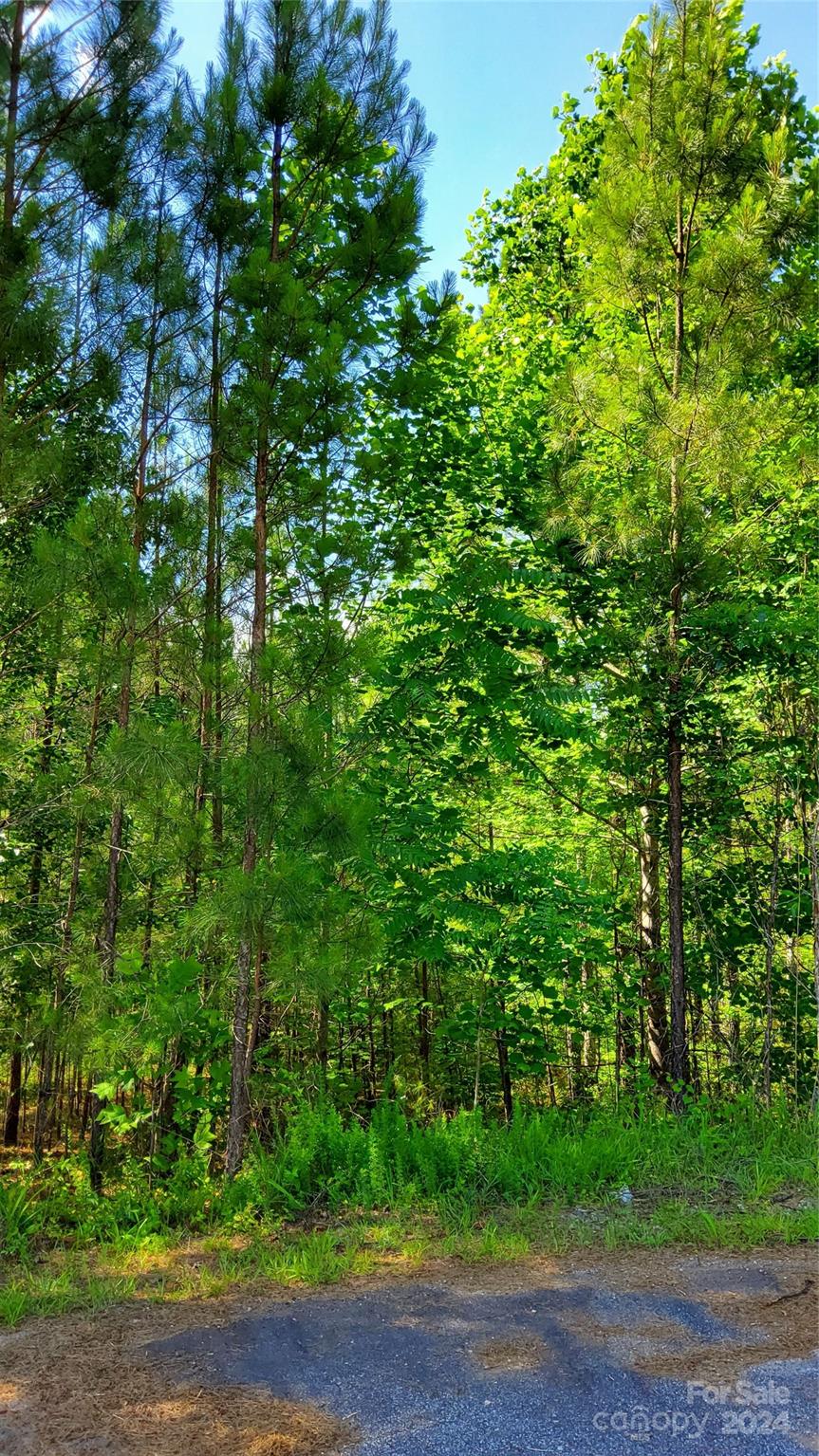 0 Ashley Court Mill Spring NC 28756