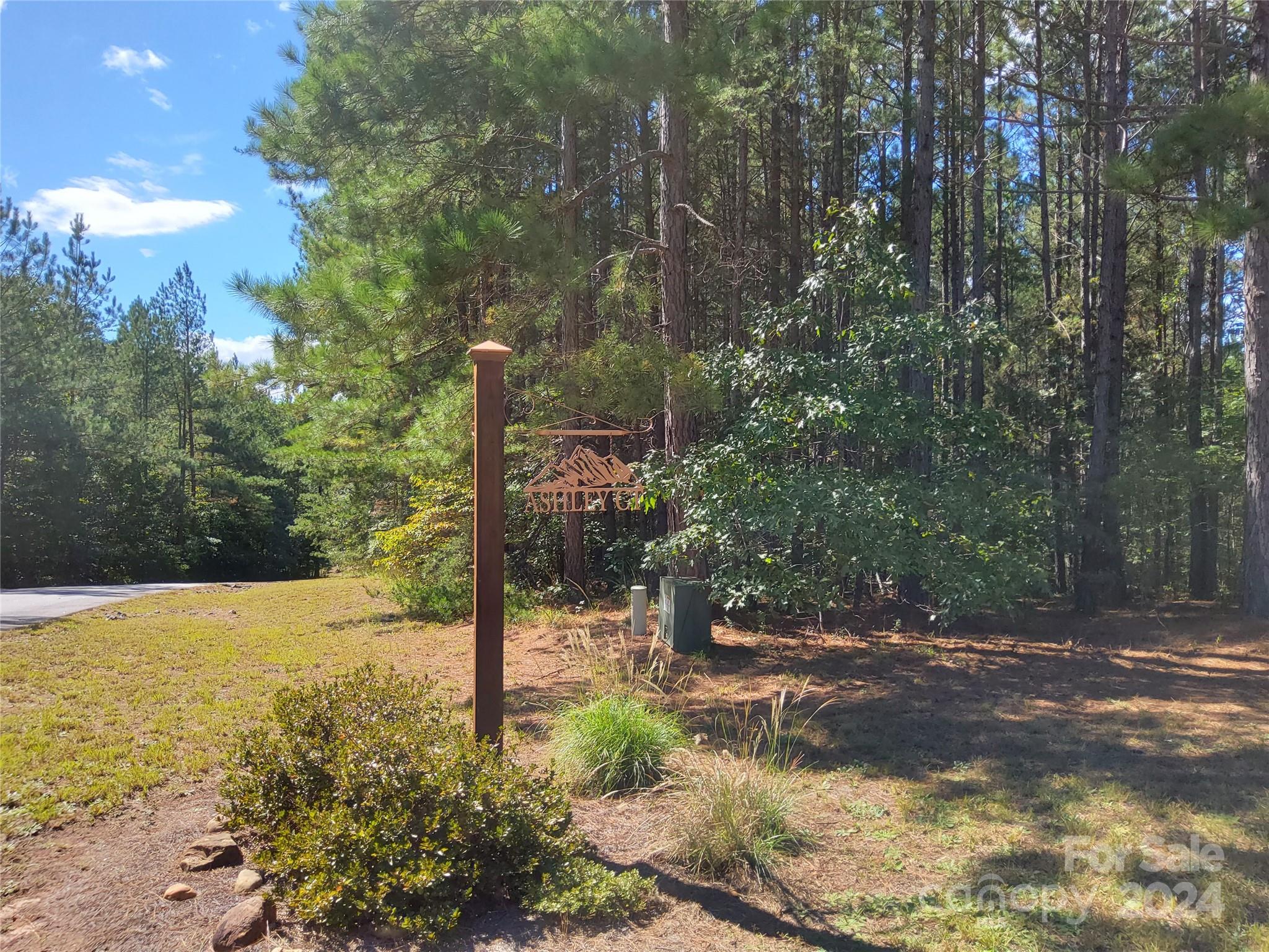 0 Ashley Court Mill Spring NC 28756