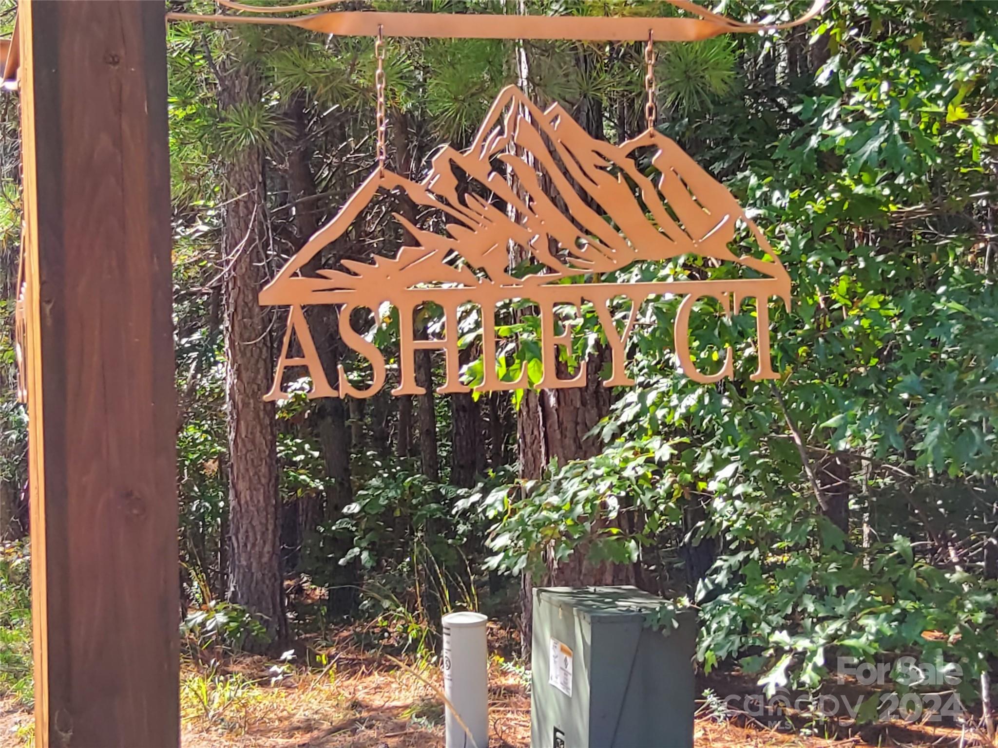 0 Ashley Court Mill Spring NC 28756