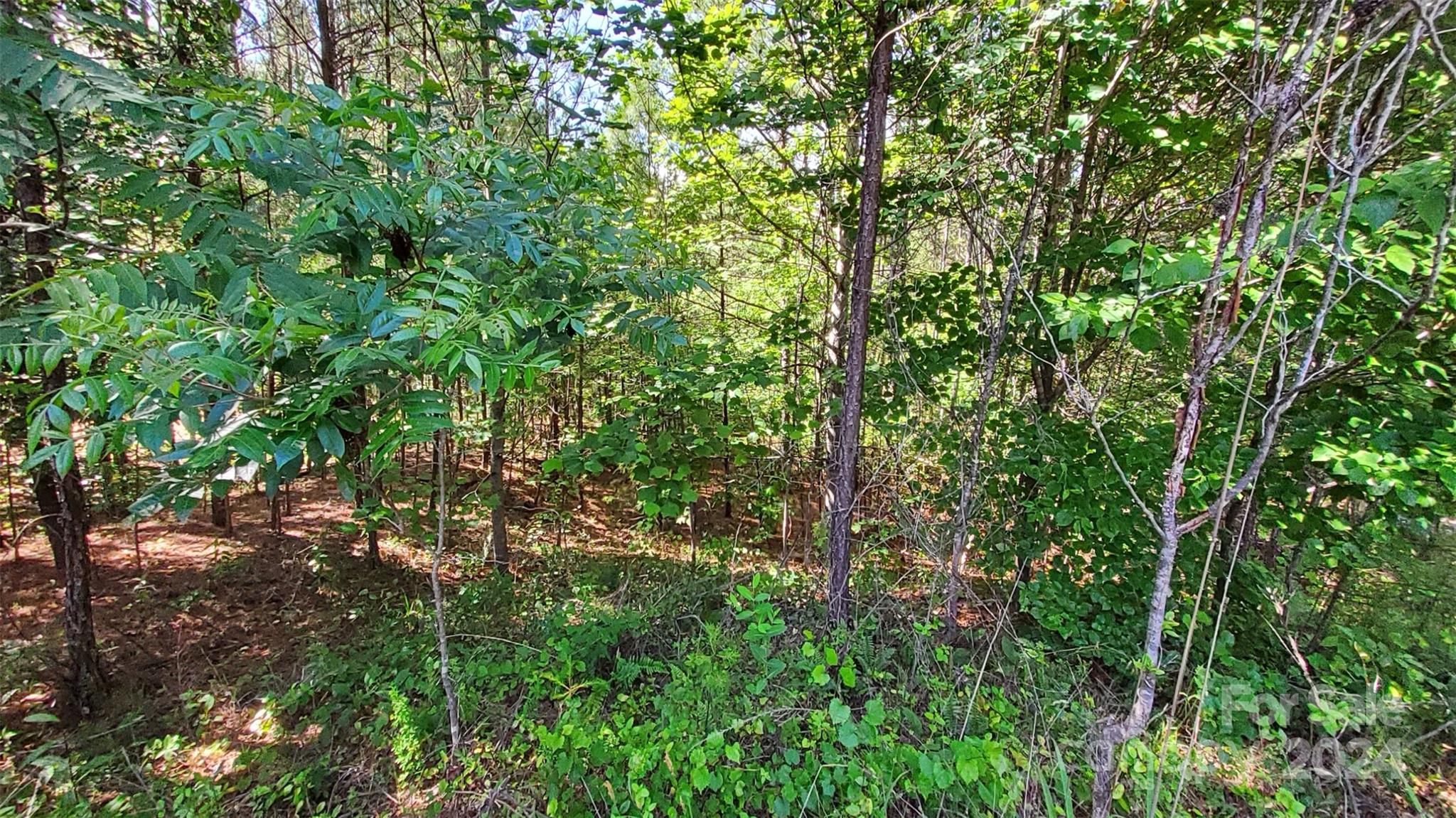 0 Ashley Court Mill Spring NC 28756