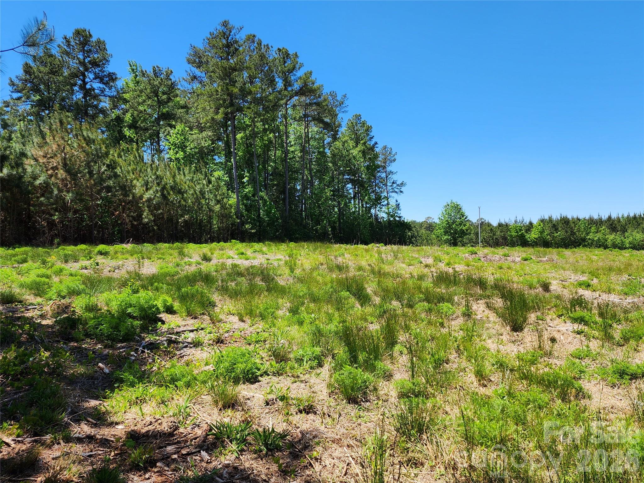 2423 Pine Grove Church Road Eagle Springs NC 28272