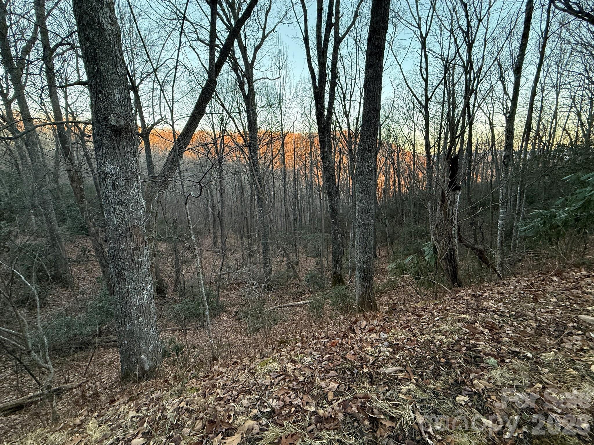 Lot 32 Bear Hollow Road Waynesville NC 28785