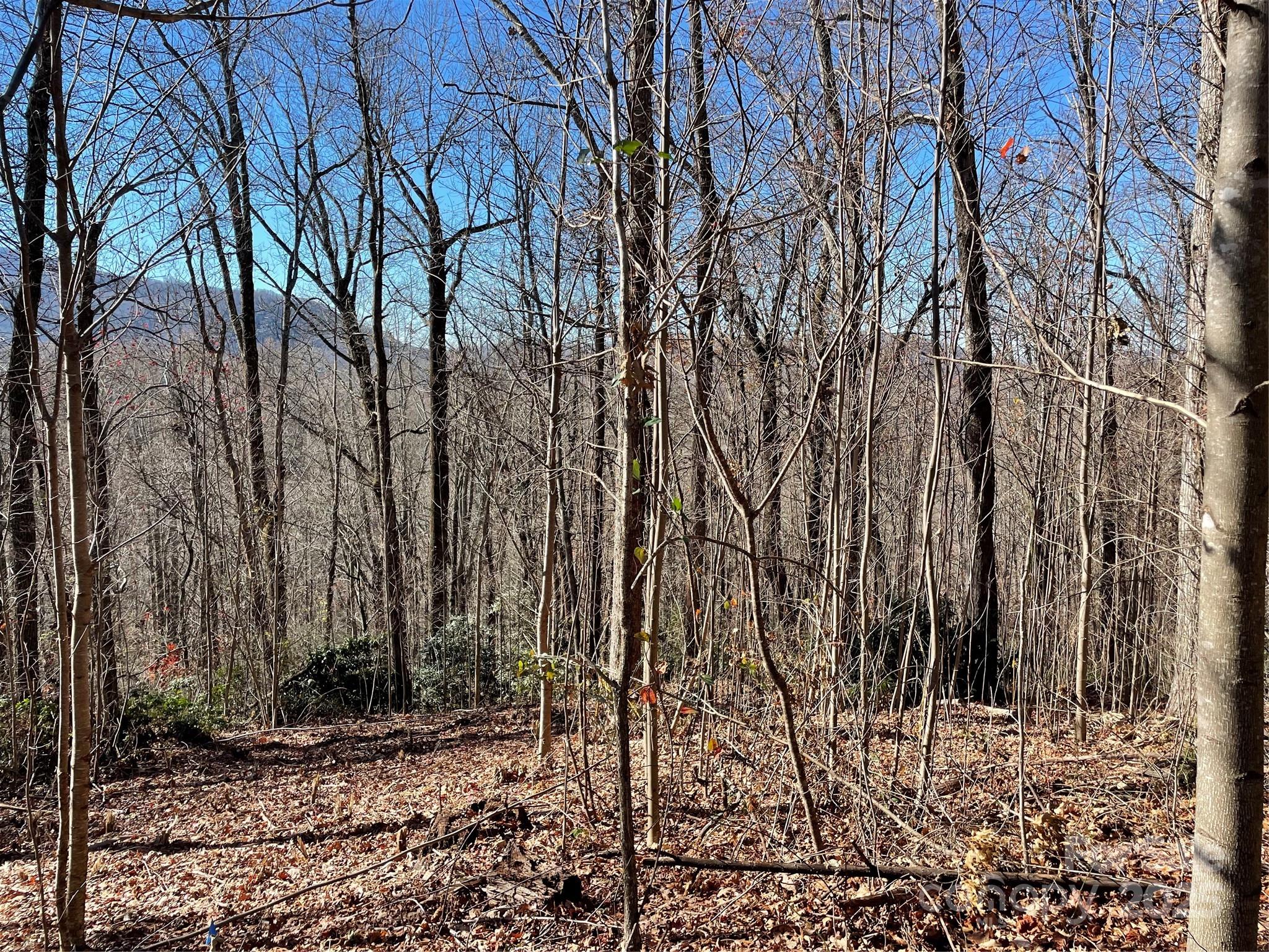 9999-1 Nesbitt Chapel Road Fairview NC 28730