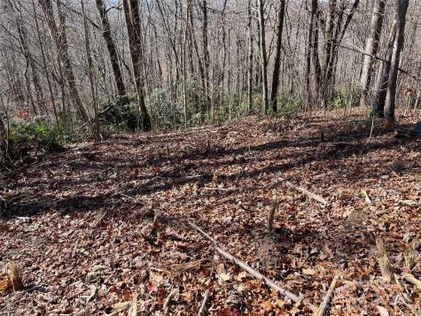 9999-1 Nesbitt Chapel Road Fairview NC 28730
