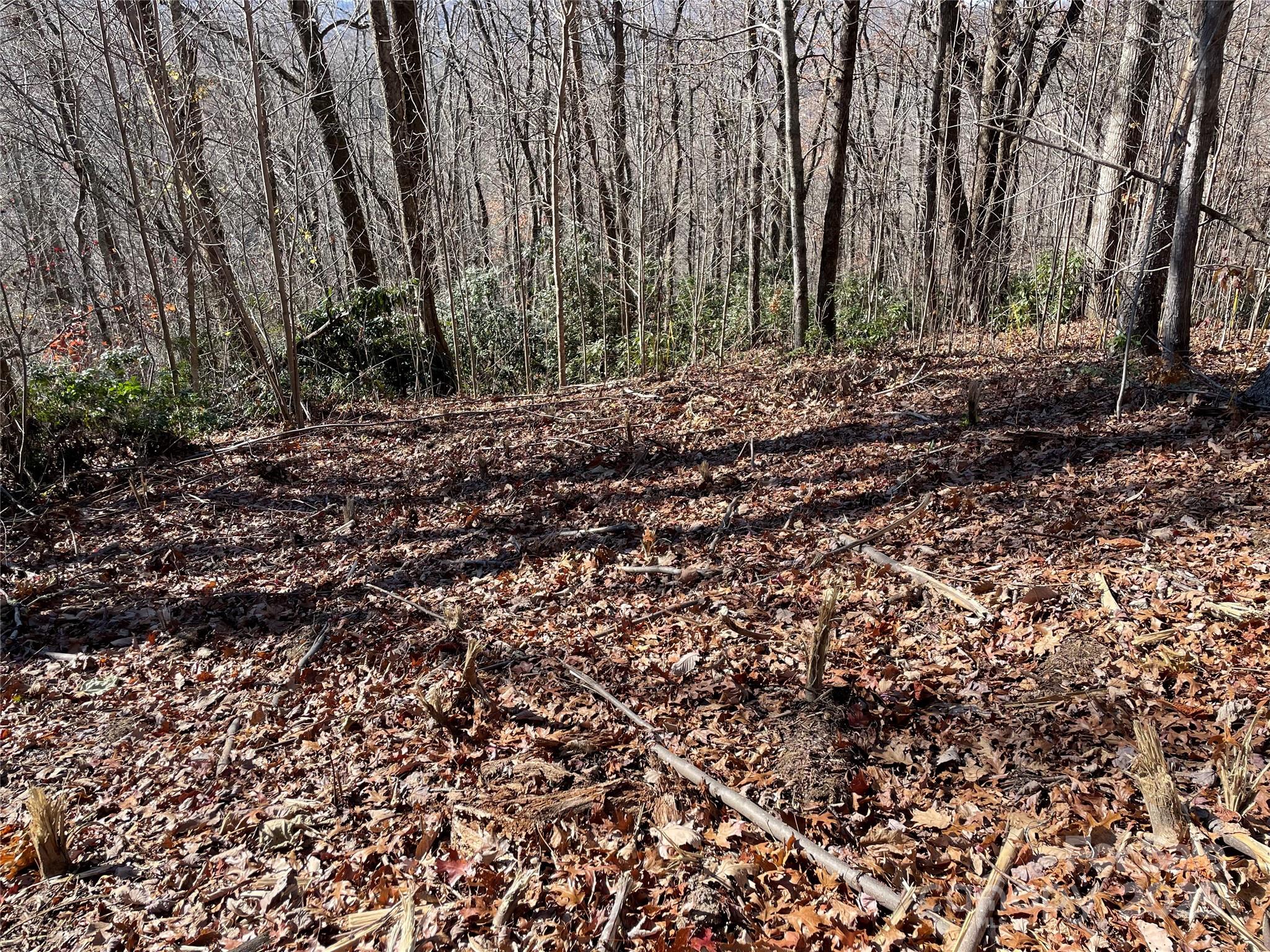 9999-1 Nesbitt Chapel Road Fairview NC 28730