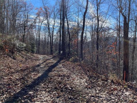 9999-1 Nesbitt Chapel Road Fairview NC 28730