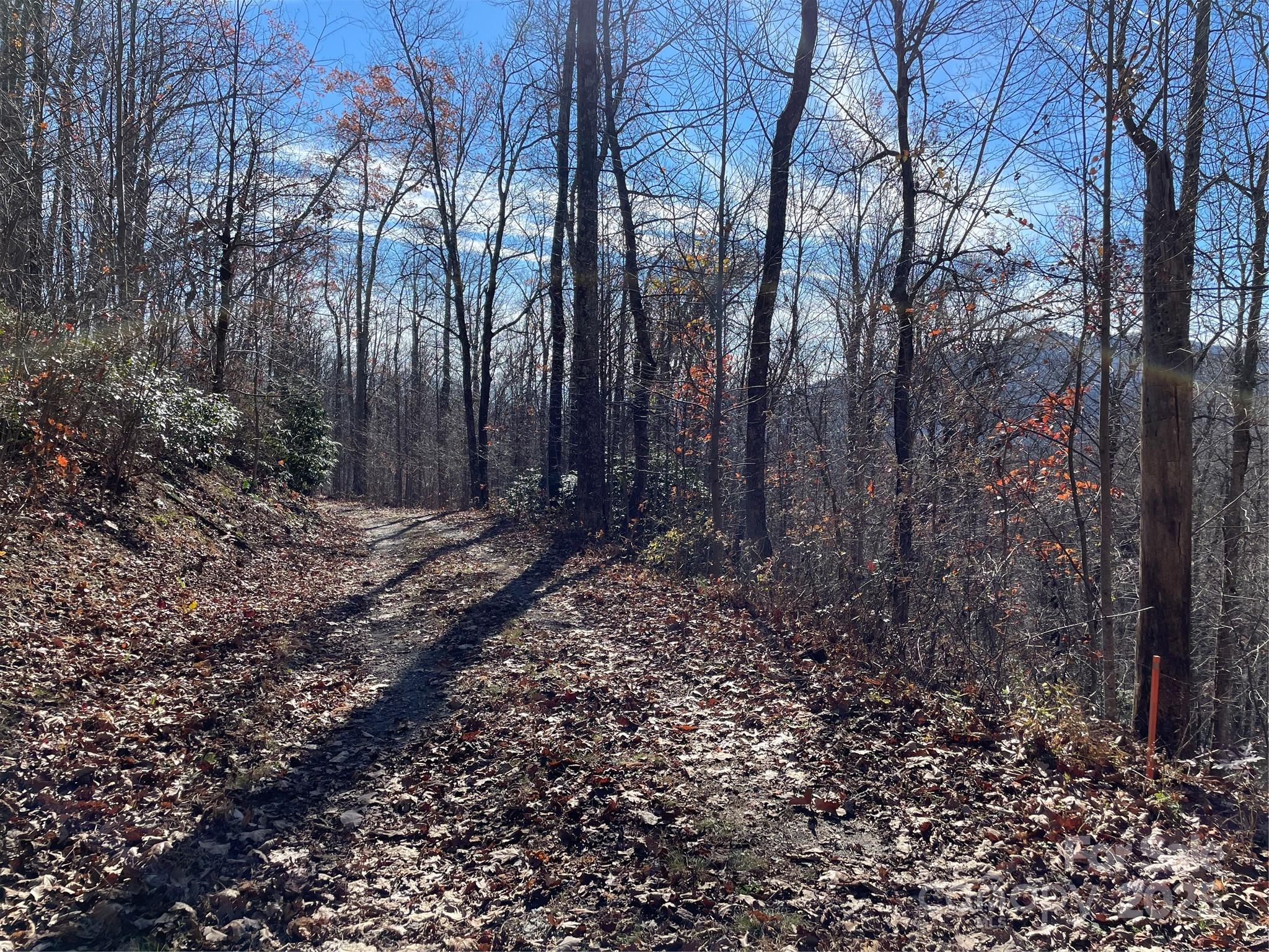 9999-1 Nesbitt Chapel Road Fairview NC 28730