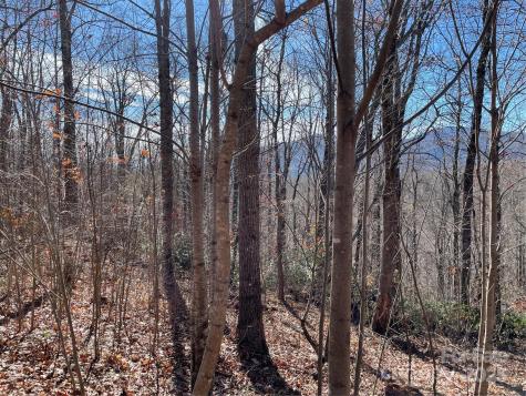 9999-1 Nesbitt Chapel Road Fairview NC 28730