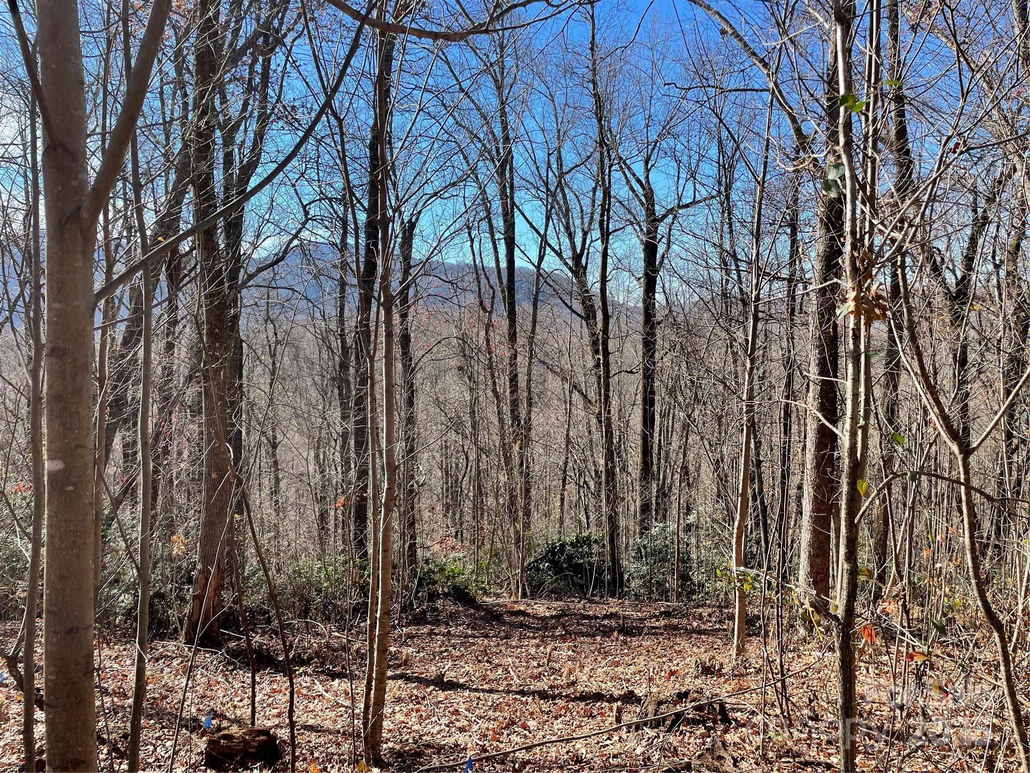 9999-1 Nesbitt Chapel Road Fairview NC 28730