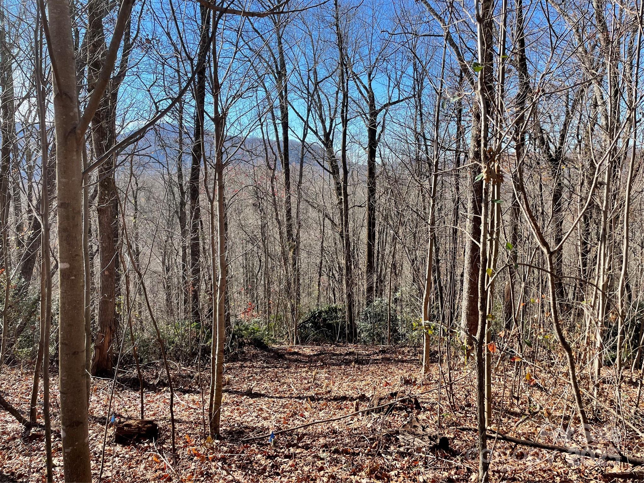 9999-1 Nesbitt Chapel Road Fairview NC 28730