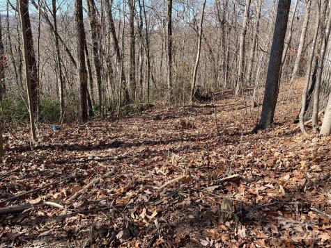 9999-1 Nesbitt Chapel Road Fairview NC 28730