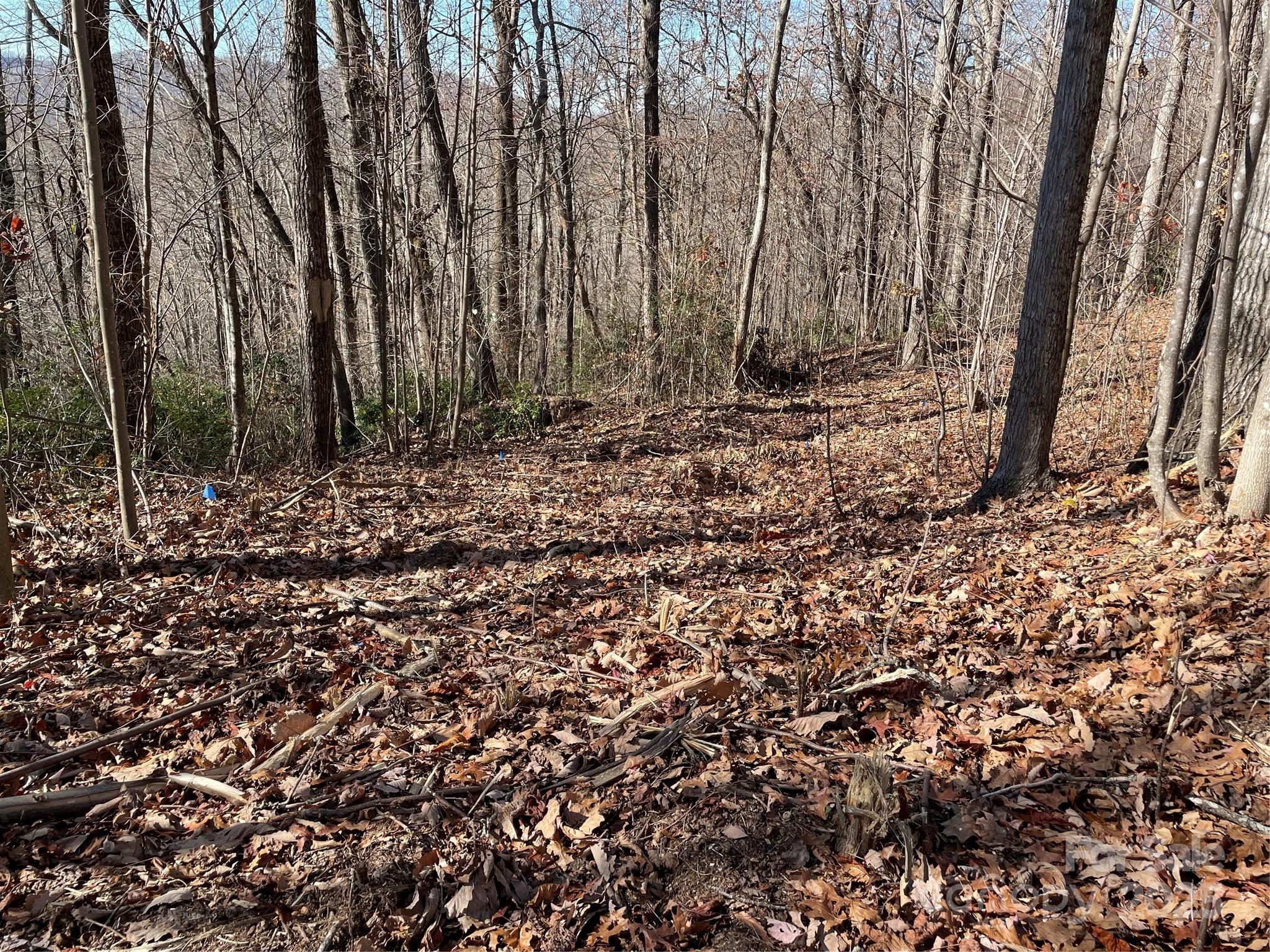 9999-1 Nesbitt Chapel Road Fairview NC 28730