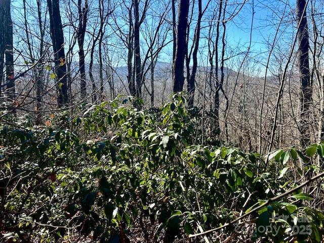 9999-1 Nesbitt Chapel Road Fairview NC 28730