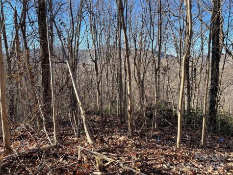 9999-1 Nesbitt Chapel Road Fairview NC 28730