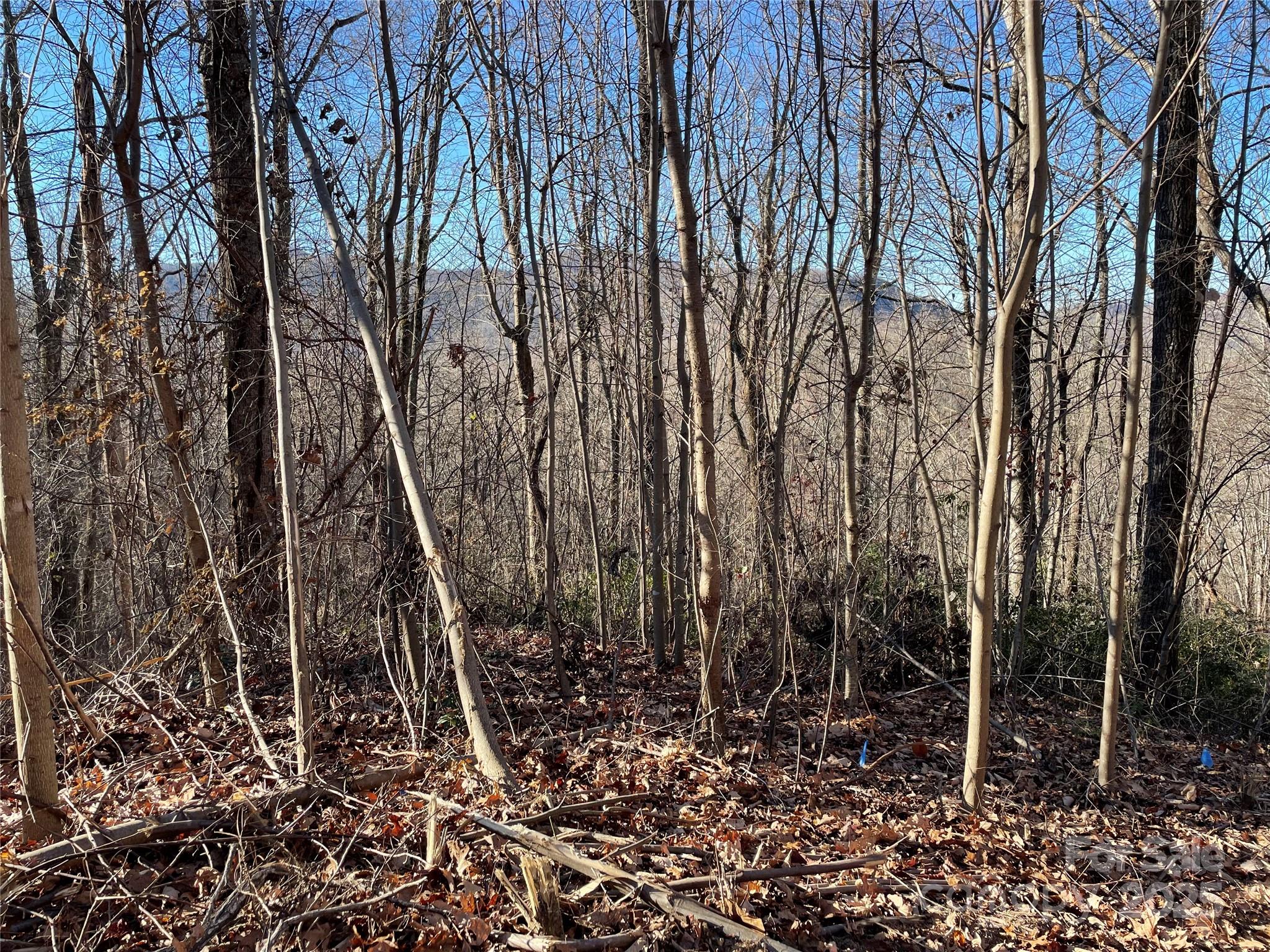 9999-1 Nesbitt Chapel Road Fairview NC 28730