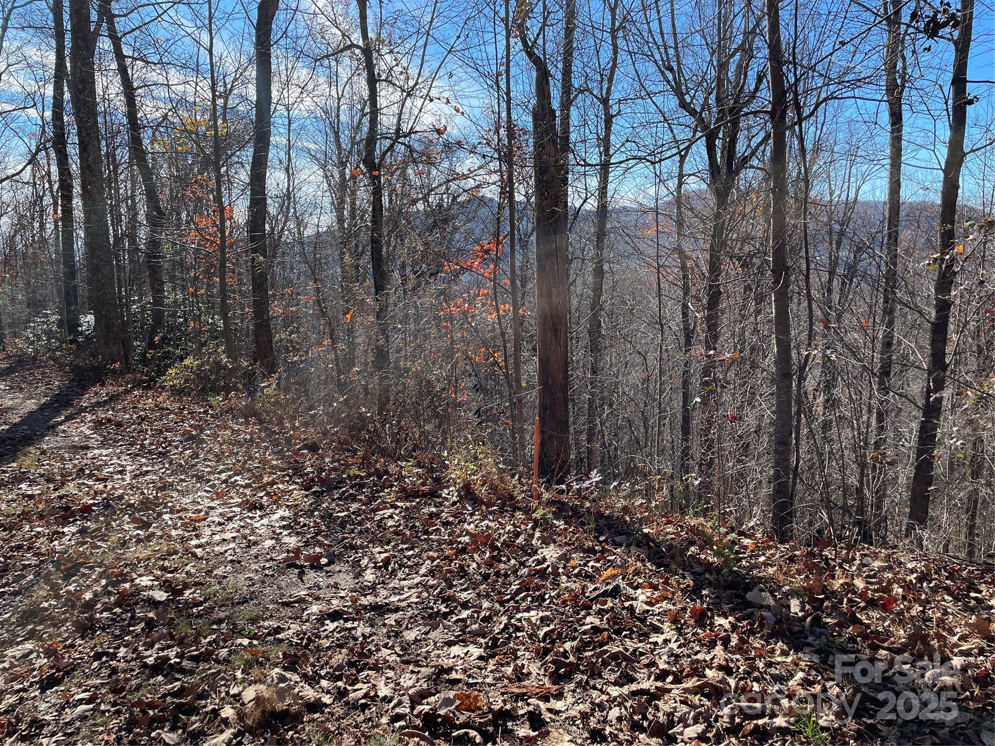 9999-1 Nesbitt Chapel Road Fairview NC 28730