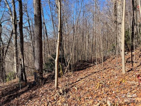 9999-1 Nesbitt Chapel Road Fairview NC 28730