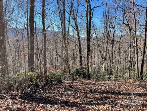 9999-1 Nesbitt Chapel Road Fairview NC 28730