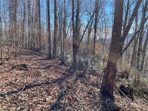 9999-1 Nesbitt Chapel Road Fairview NC 28730