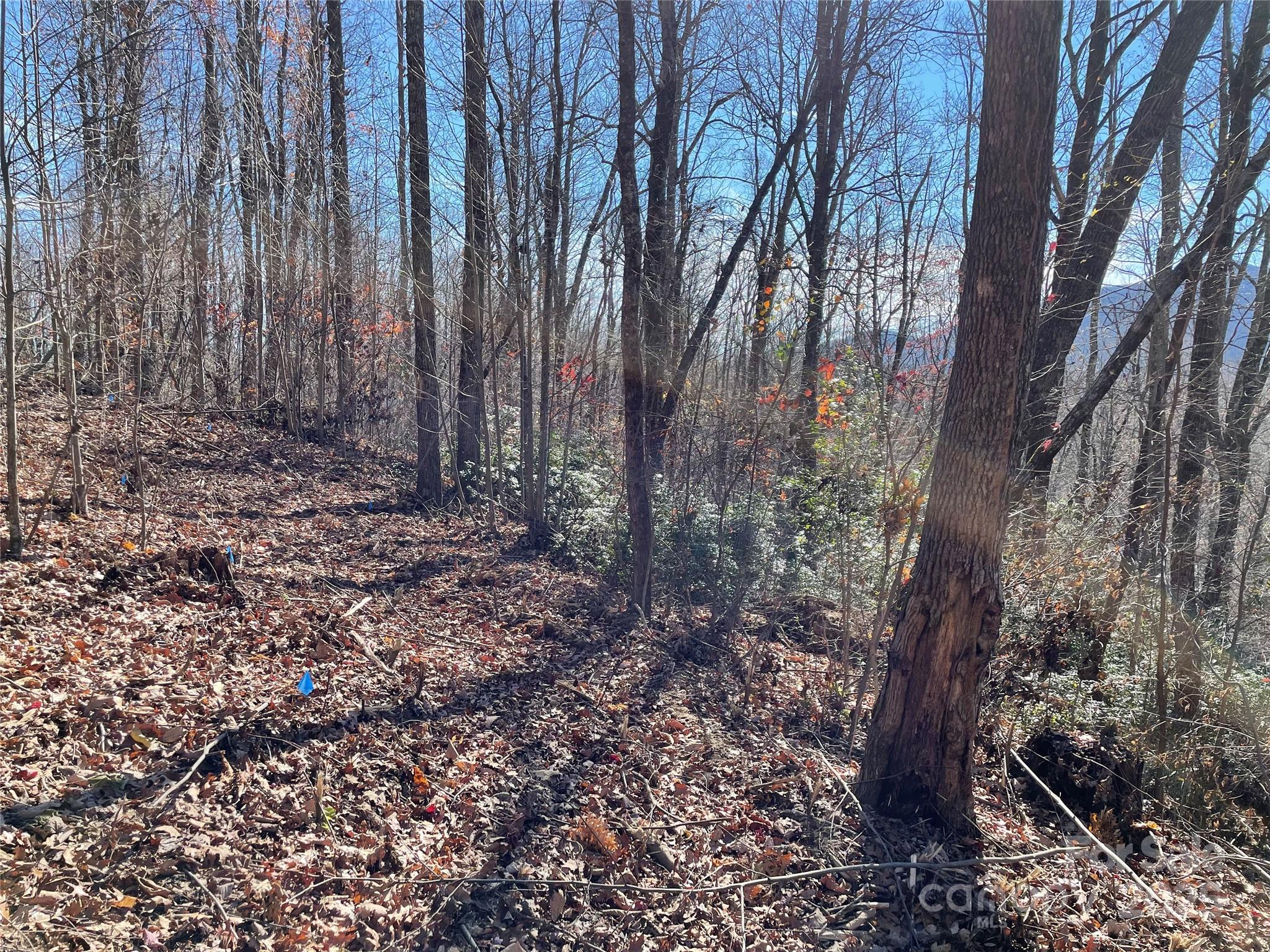 9999-1 Nesbitt Chapel Road Fairview NC 28730