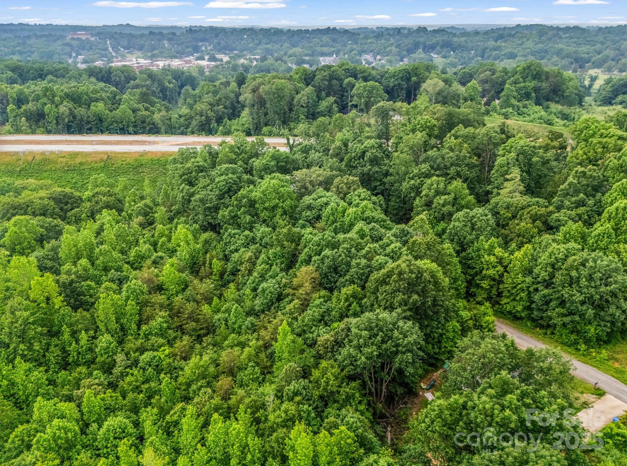 0 Hutchins Drive Rutherfordton NC 28657