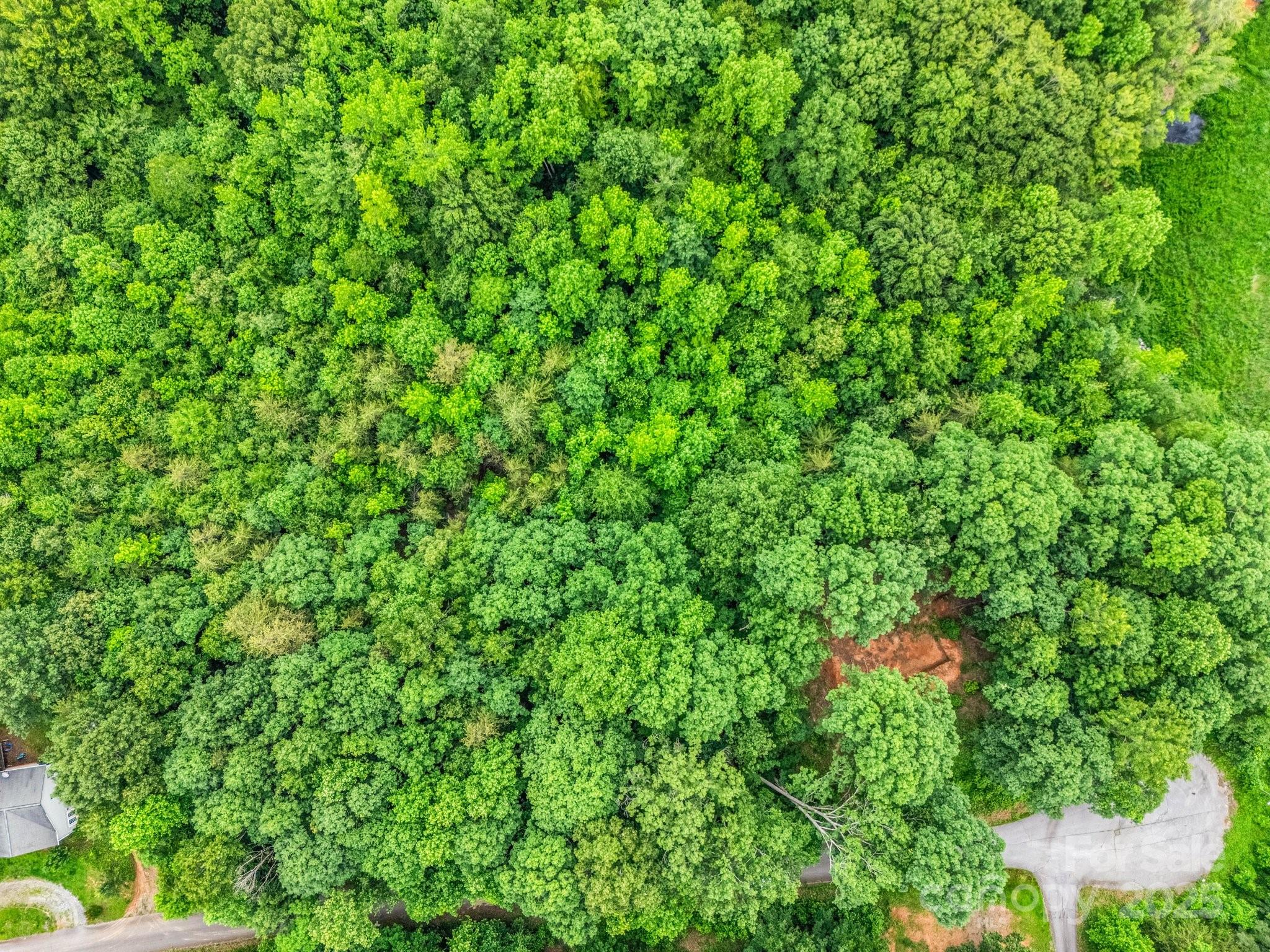 0 Hutchins Drive Rutherfordton NC 28657