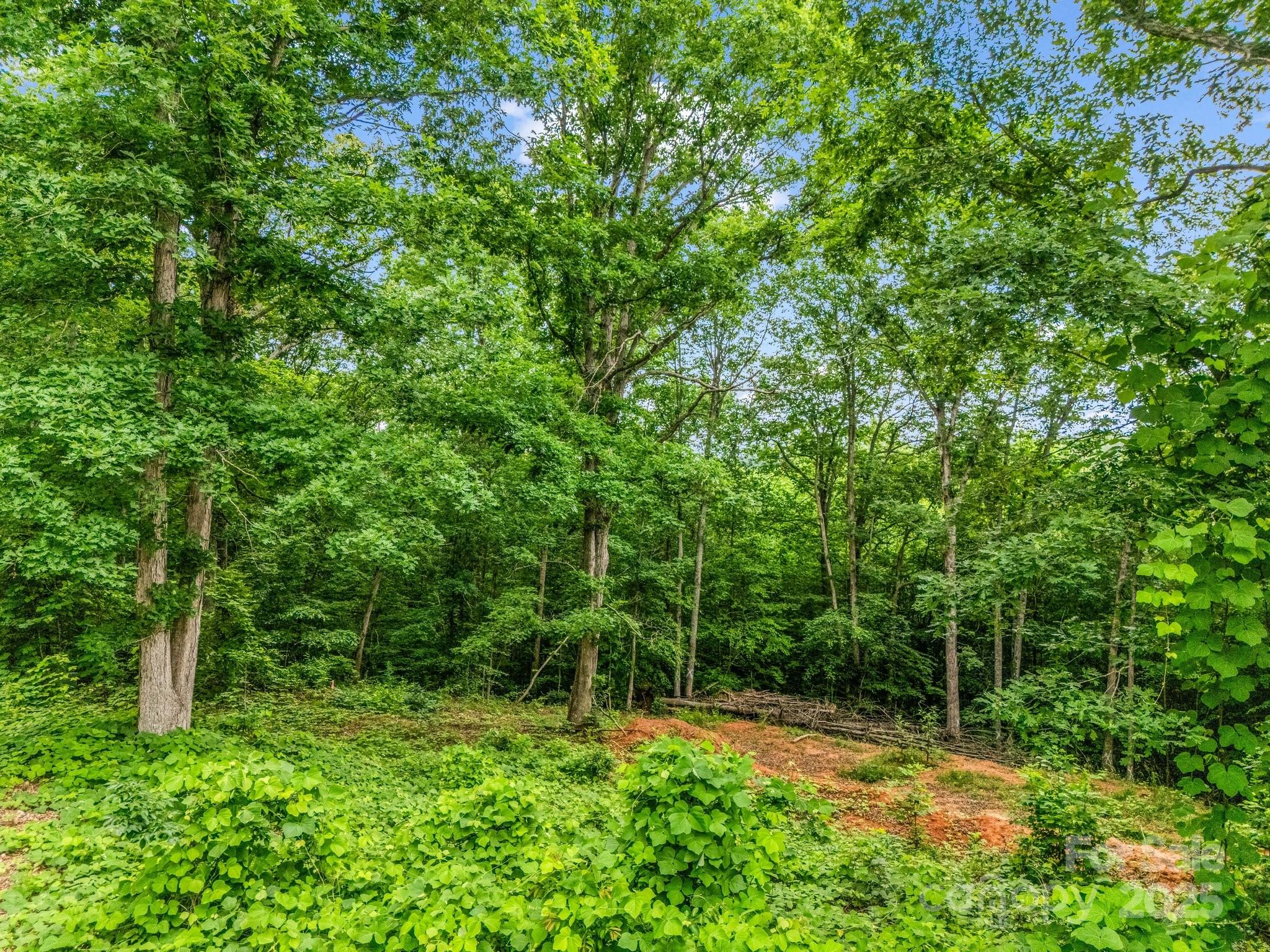 0 Hutchins Drive Rutherfordton NC 28657