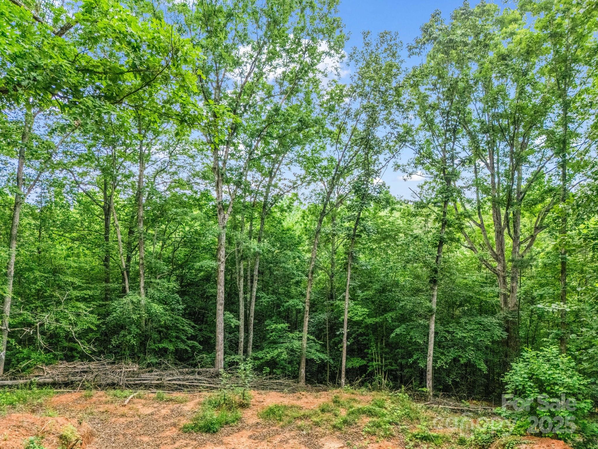 0 Hutchins Drive Rutherfordton NC 28657
