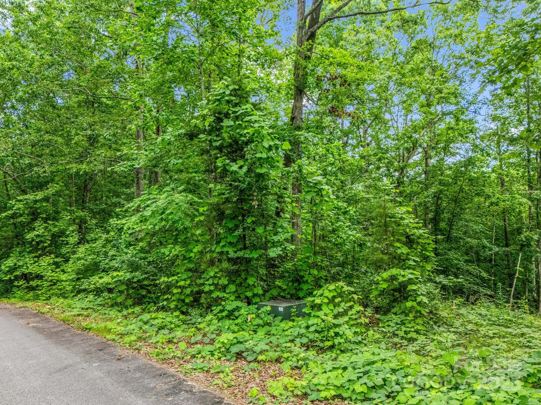 0 Hutchins Drive Rutherfordton NC 28657