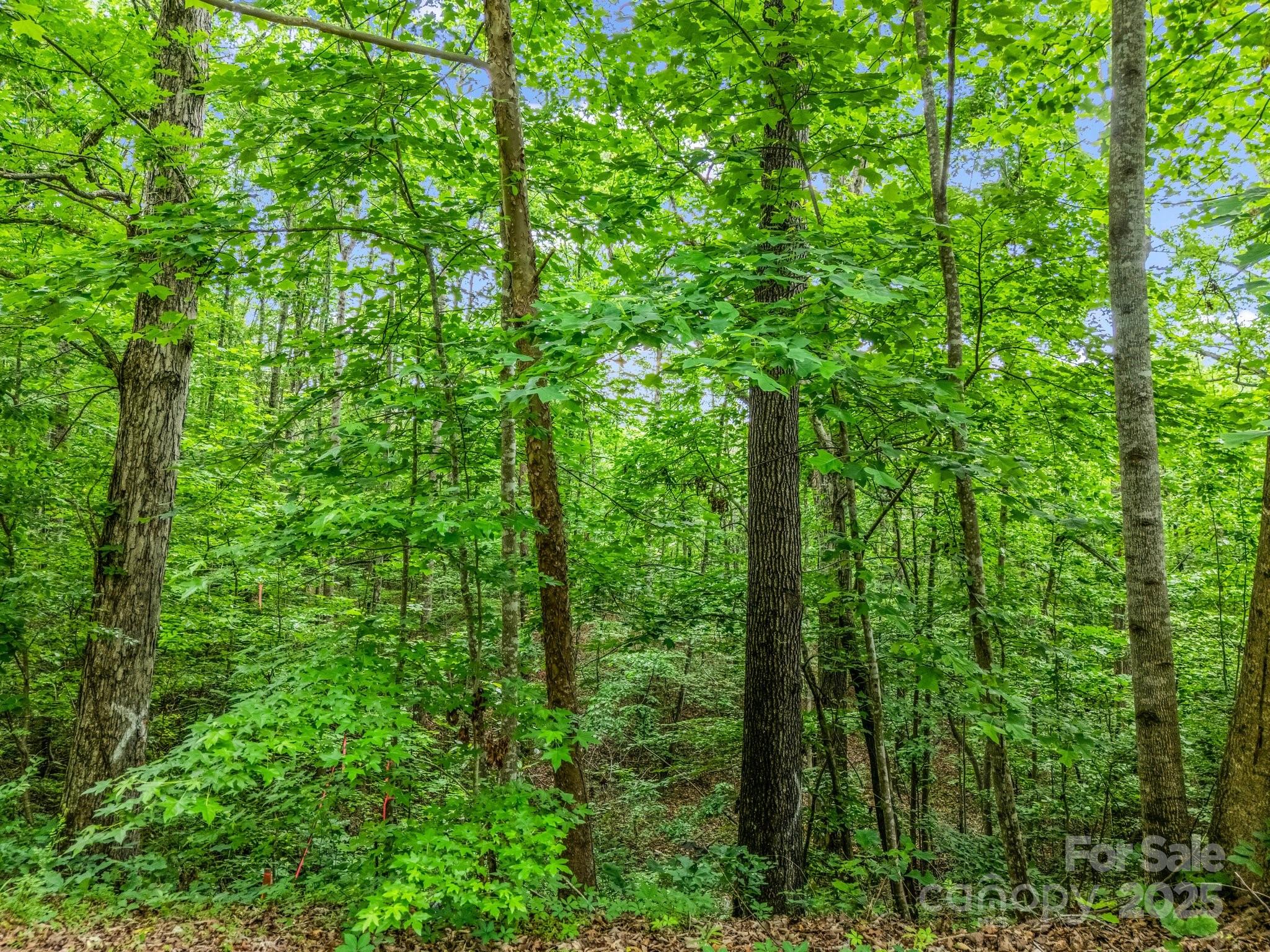 0 Hutchins Drive Rutherfordton NC 28657