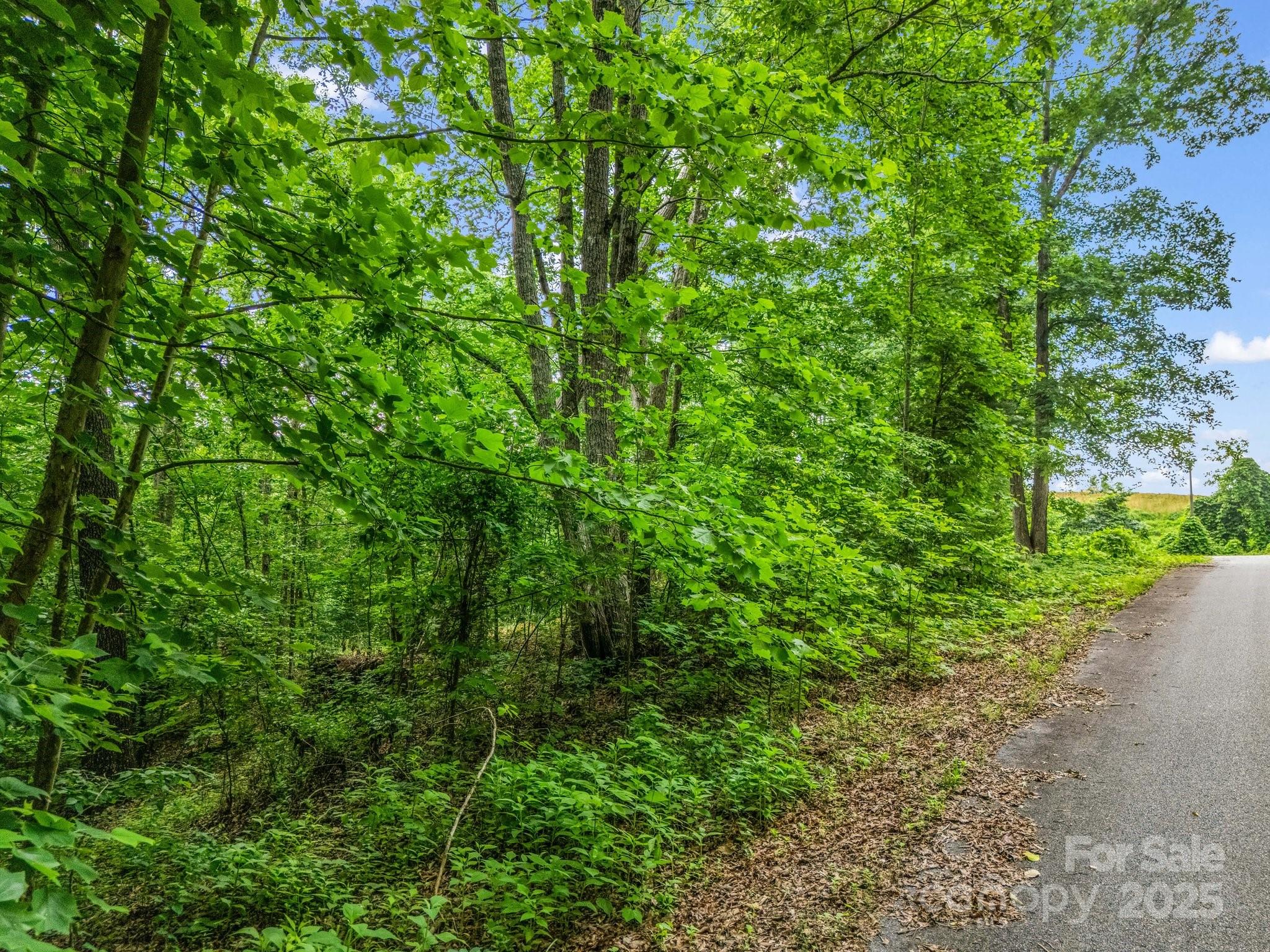 0 Hutchins Drive Rutherfordton NC 28657