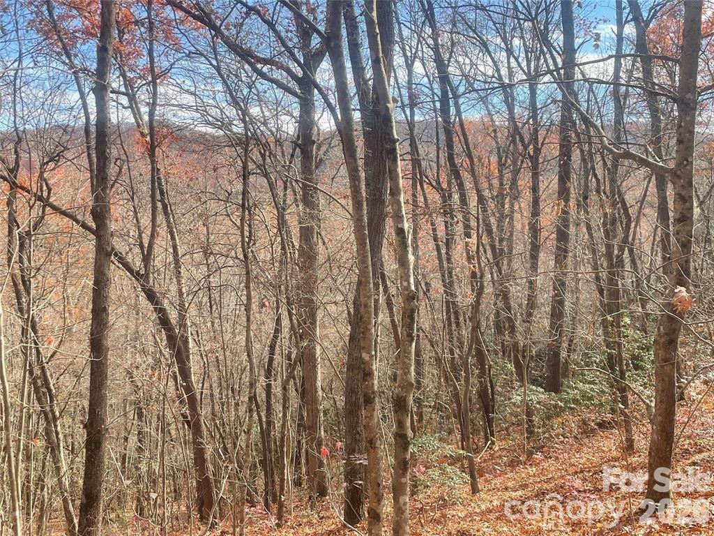 Black Mountain NC, 000 Yates Avenue