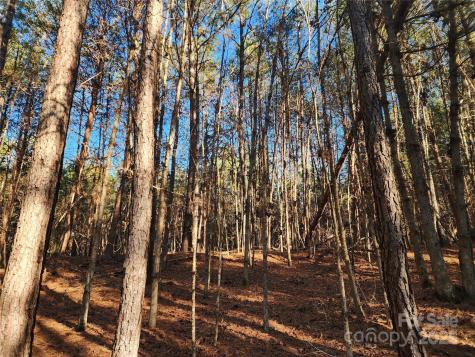 1342 Mcknight Road Smyrna SC 29743