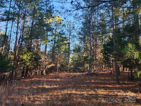 1342 Mcknight Road Smyrna SC 29743