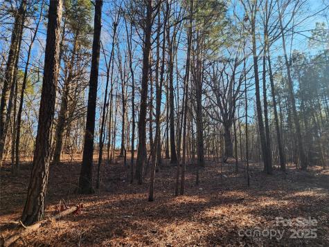 1342 Mcknight Road Smyrna SC 29743