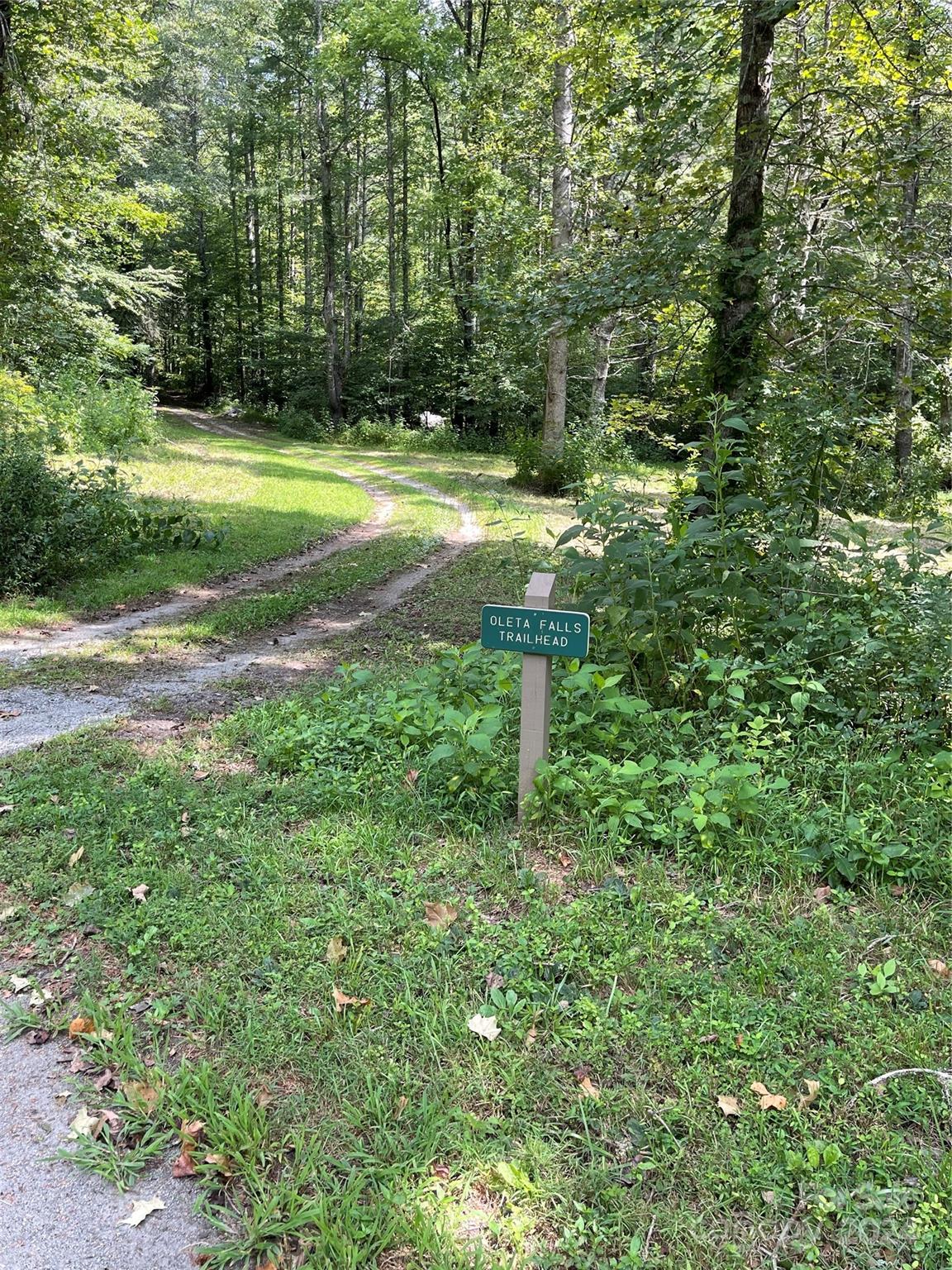 #25 Oleta Mill Trail Dana NC 28792