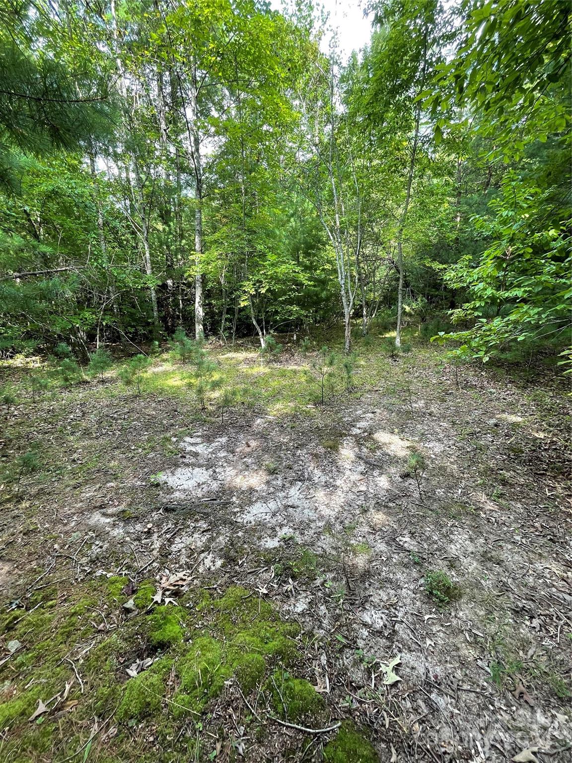 #25 Oleta Mill Trail Dana NC 28792