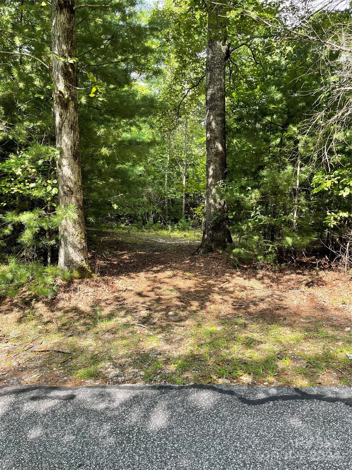 #25 Oleta Mill Trail Dana NC 28792