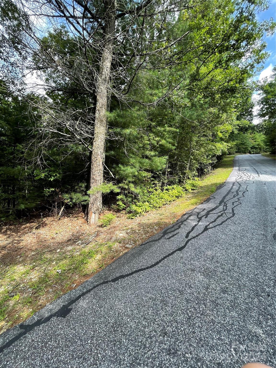 #25 Oleta Mill Trail Dana NC 28792