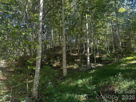0 Clear Creek Trail Lake Lure NC 28746