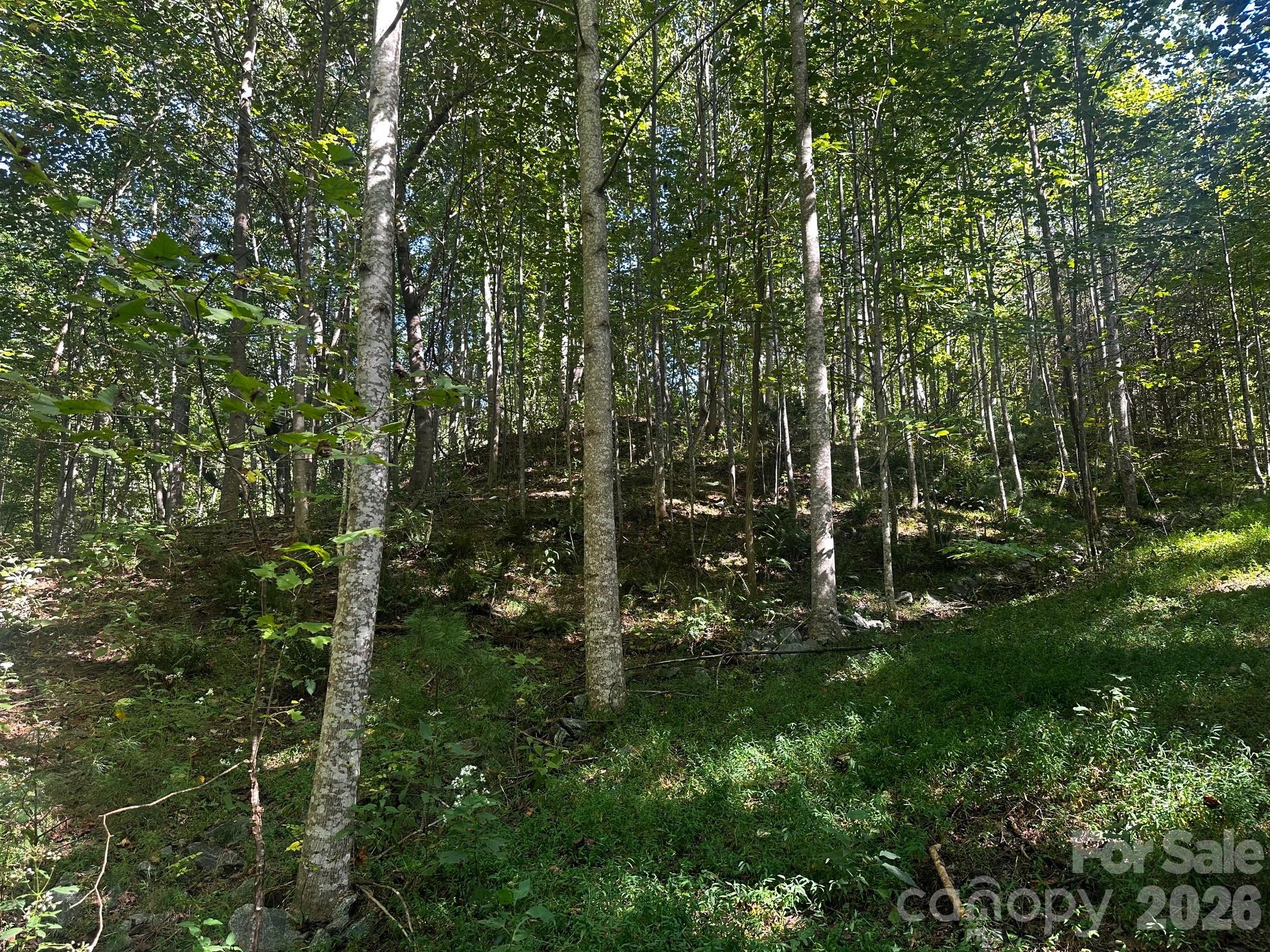 0 Clear Creek Trail Lake Lure NC 28746
