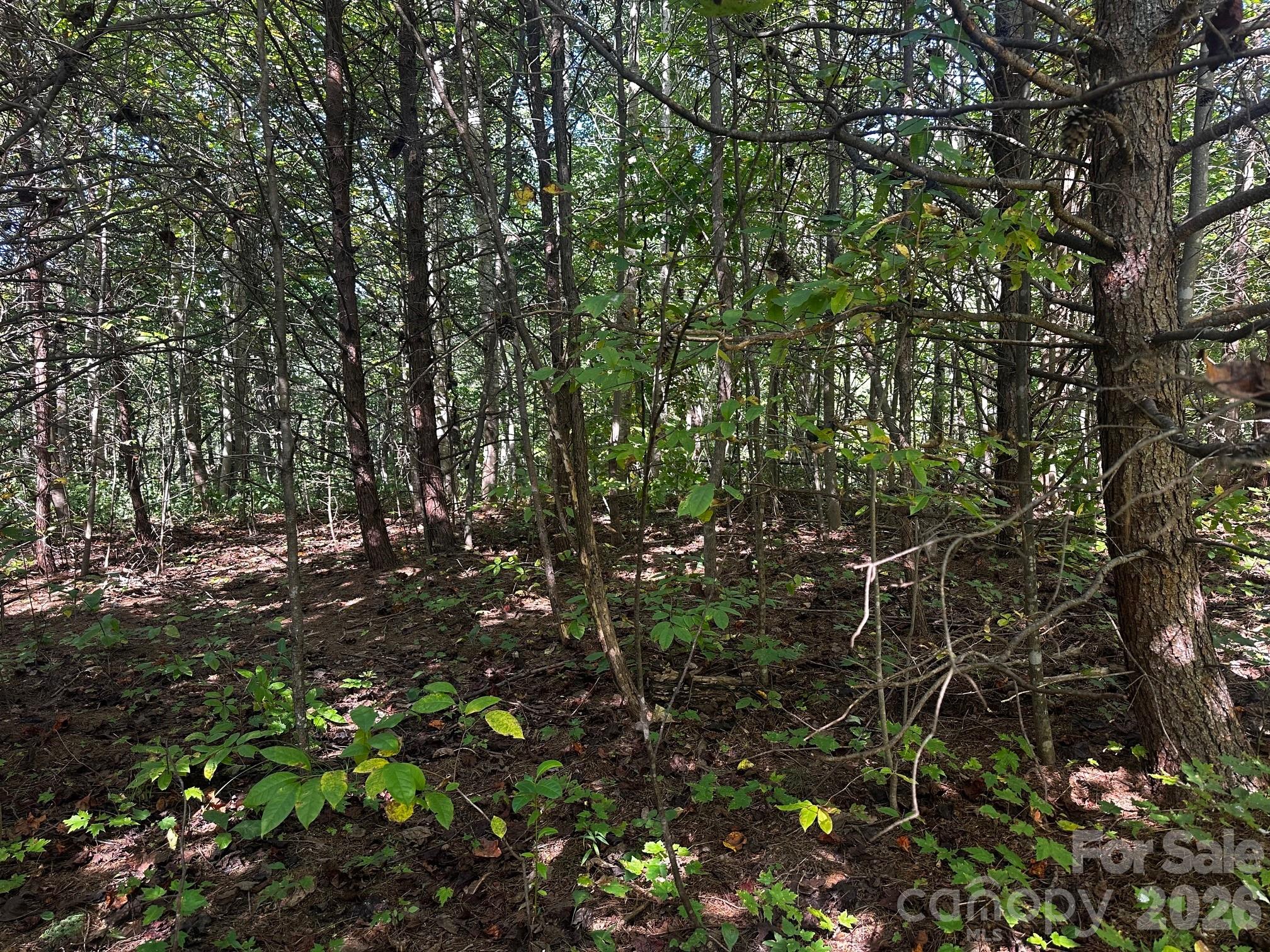 0 Clear Creek Trail Lake Lure NC 28746