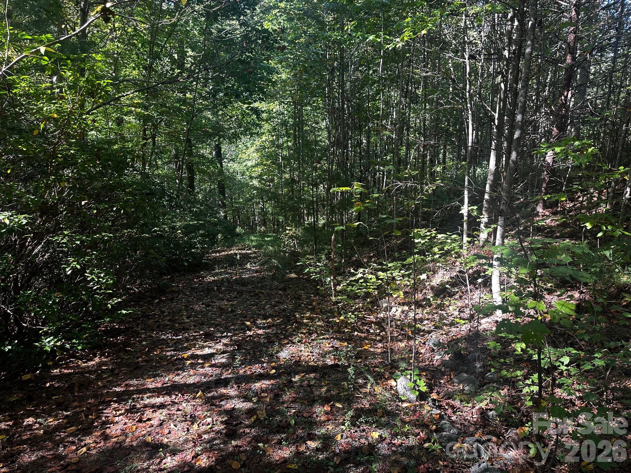 0 Clear Creek Trail Lake Lure NC 28746