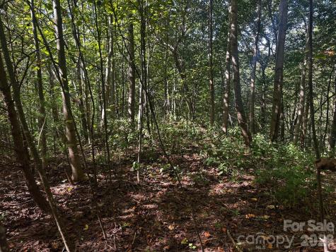 0 Clear Creek Trail Lake Lure NC 28746